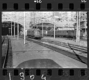 NEG_CDM_1904.tif