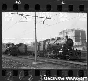 NEG_CDM_2623.tif