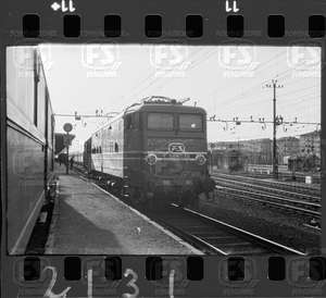 NEG_CDM_2131.tif