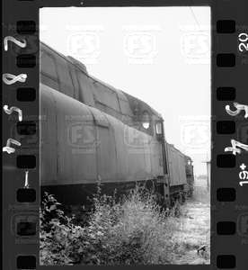 NEG_CDM_2854.tif