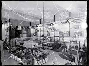 NEG_24301N_22770V.tif