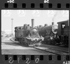 NEG_CDM_2120.tif