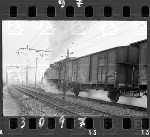 NEG_CDM_3097.tif