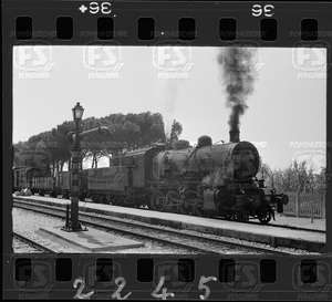 NEG_CDM_2245.tif