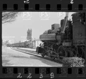 NEG_CDM_2239.tif