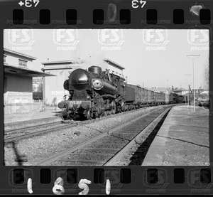 NEG_CDM_1851.tif