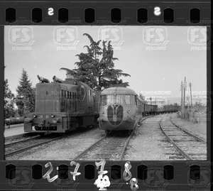 NEG_CDM_2778.tif