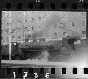 NEG_CDM_1736.tif