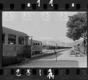 NEG_CDM_2811.tif