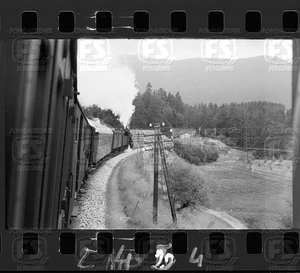 NEG_CDM_2454.tif