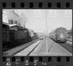 NEG_CDM_2595.tif