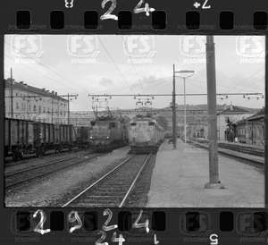 NEG_CDM_2924.tif