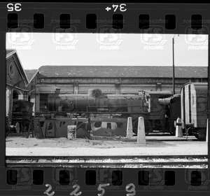 NEG_CDM_2259.tif