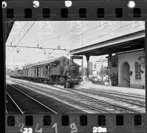 NEG_CDM_2419.tif