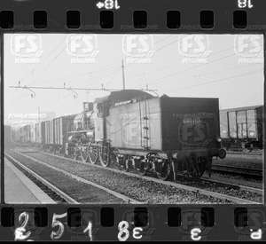 NEG_CDM_2518.tif