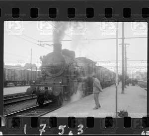 NEG_CDM_1753.tif