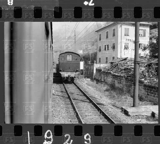 NEG_CDM_1929.tif