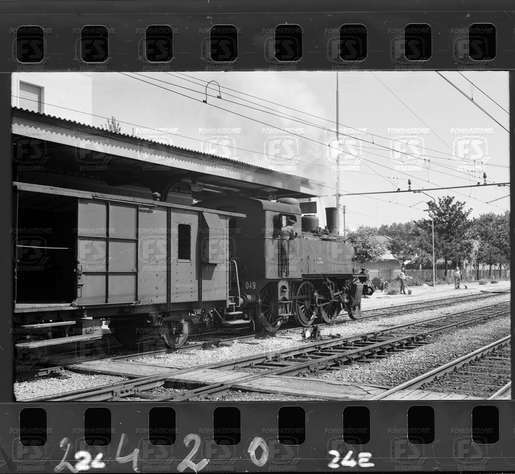 NEG_CDM_2420.tif