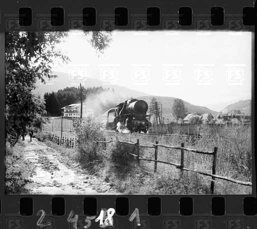 NEG_CDM_2451.tif