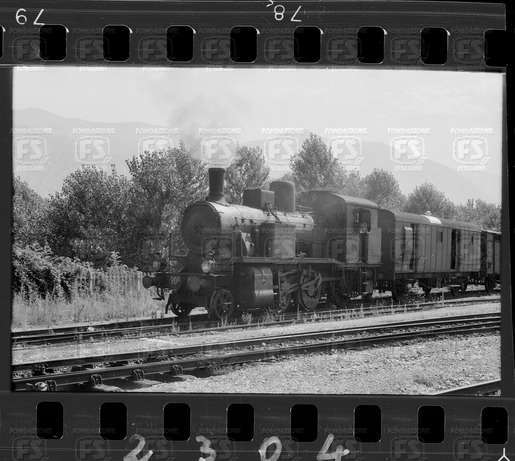 NEG_CDM_2304.tif