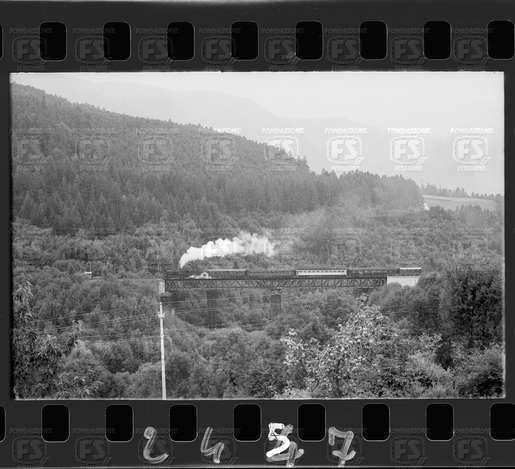 NEG_CDM_2447.tif