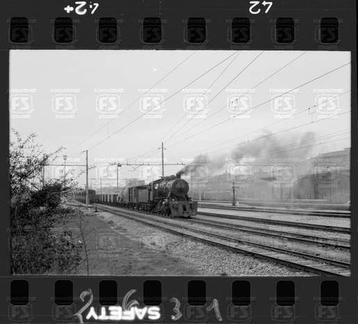 NEG_CDM_2631.tif