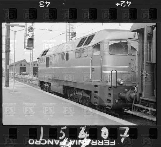 NEG_CDM_1547.tif