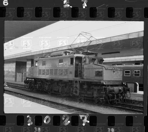 NEG_CDM_3027.tif