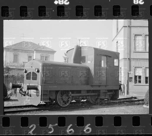 NEG_CDM_2566.tif