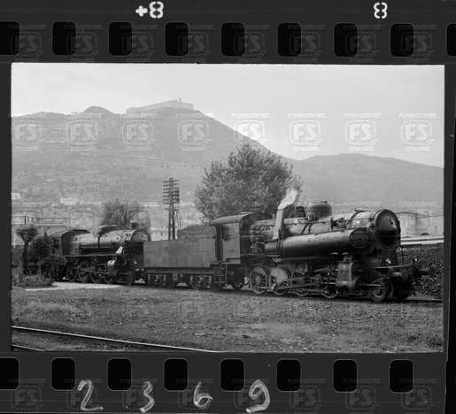 NEG_CDM_2369.tif