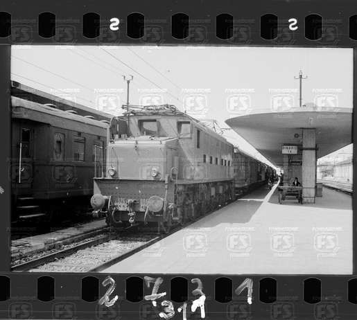 NEG_CDM_2731.tif