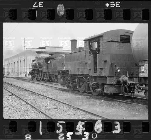 NEG_CDM_1553.tif