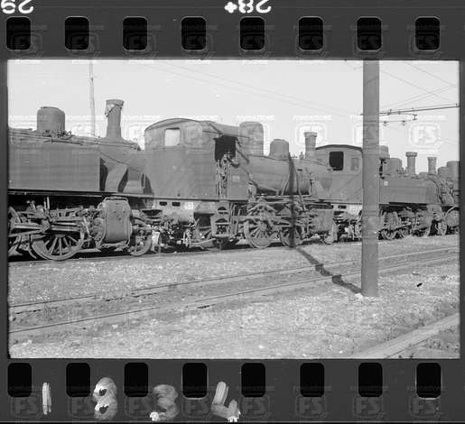 NEG_CDM_1834.tif