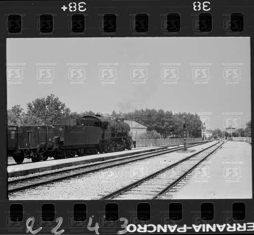 NEG_CDM_2243.tif