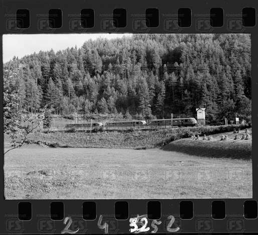 NEG_CDM_2452.tif