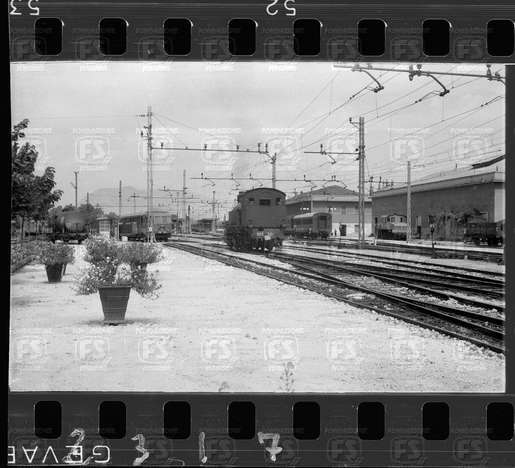 NEG_CDM_2317.tif