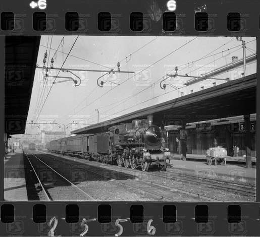 NEG_CDM_2556.tif