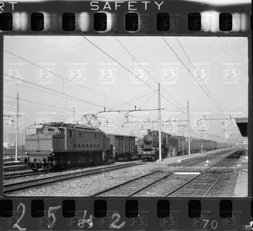 NEG_CDM_2542.tif