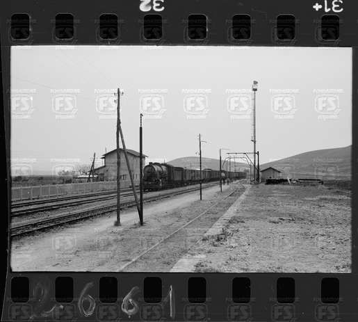 NEG_CDM_2661.tif