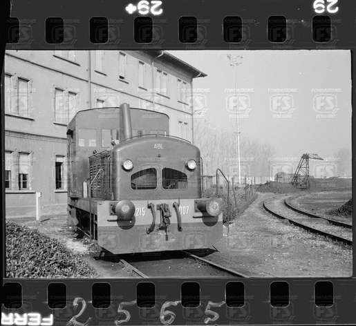 NEG_CDM_2565.tif