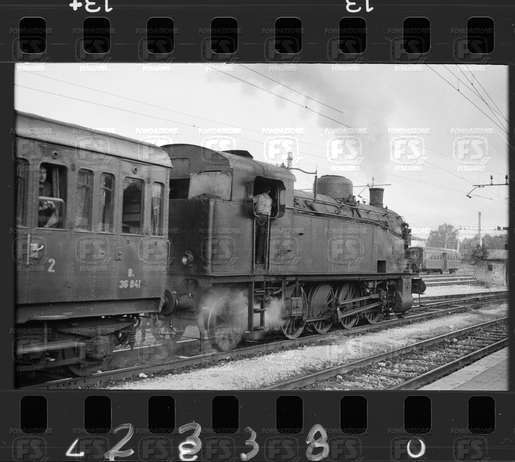 NEG_CDM_2338.tif