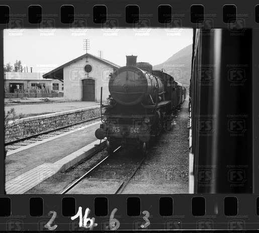 NEG_CDM_2463.tif