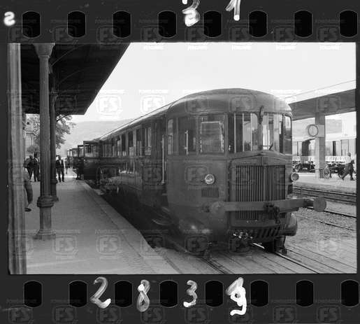 NEG_CDM_2831.tif