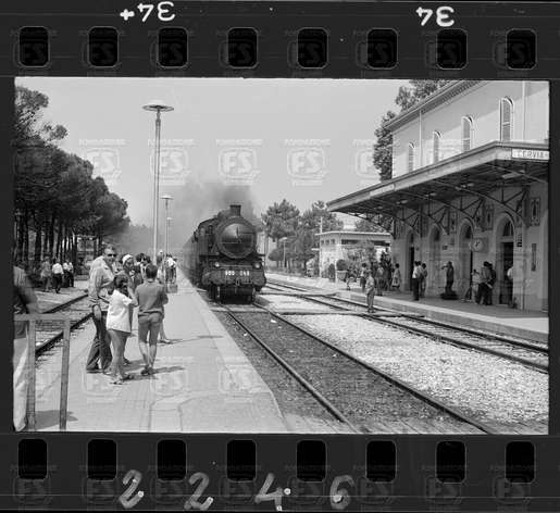 NEG_CDM_2246.tif