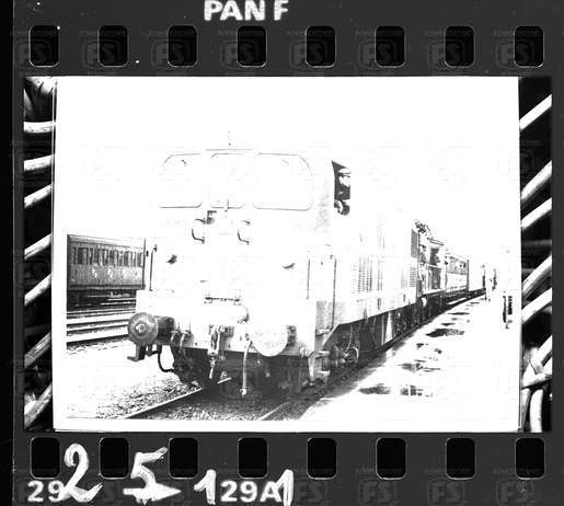 NEG_CDM_2511.tif