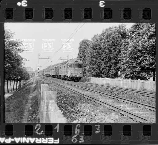 NEG_CDM_2163.tif