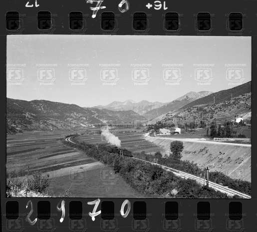 NEG_CDM_2970.tif