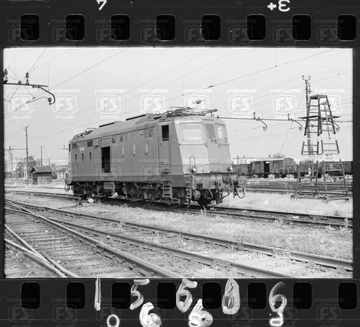 NEG_CDM_1566.tif