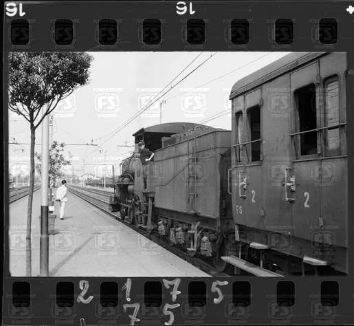 NEG_CDM_2175.tif