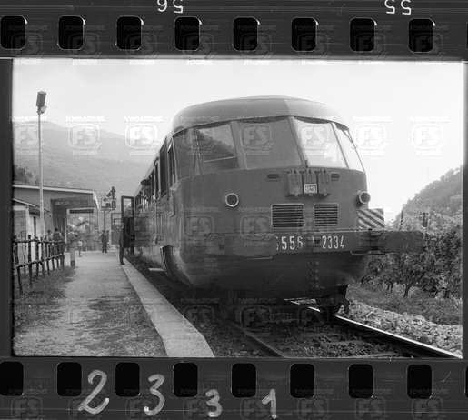 NEG_CDM_2331.tif